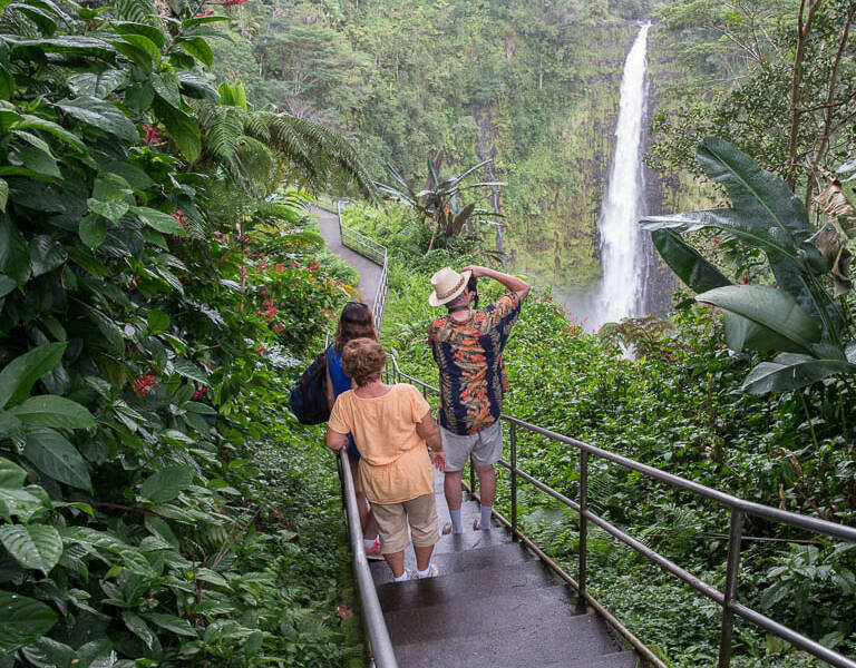 Akaka Falls Big Island - Wasabi Tours